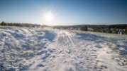 Eisheiliger Wintereinbruch auf der Böhmischen Seite des Erzgebirgskammes. Foto: Libor Čihák Junior